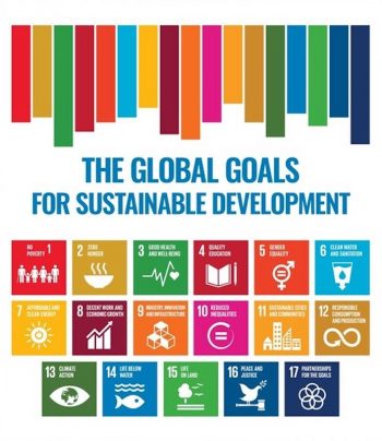 Introduction to the Sustainable Development Goals (SDGs)